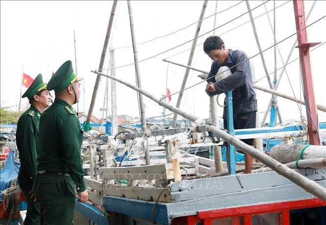 Vietnam makes progress in combating IUU fishing: official