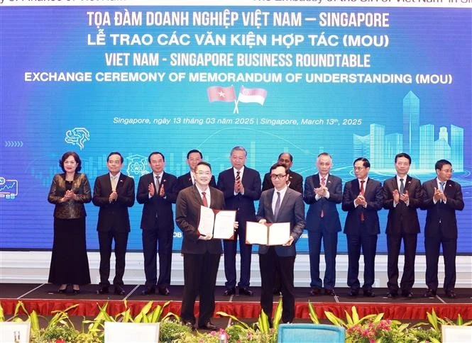Party chief attends Vietnam - Singapore business roundtable