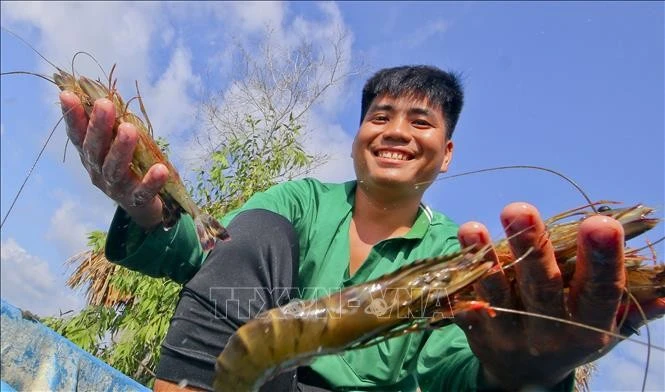 Shrimp industry advised to take actions to maintain growth momentum