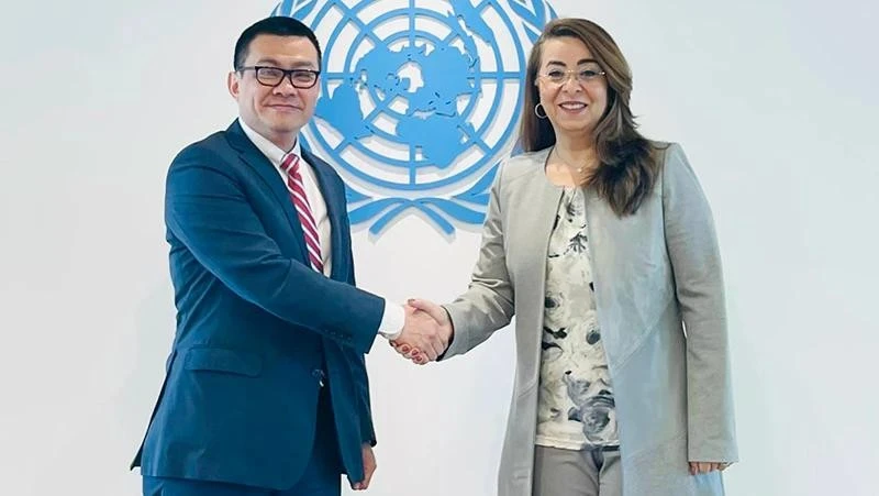 UN pledges to collaborate with Vietnam to promote implementation of anti-cybercrime convention