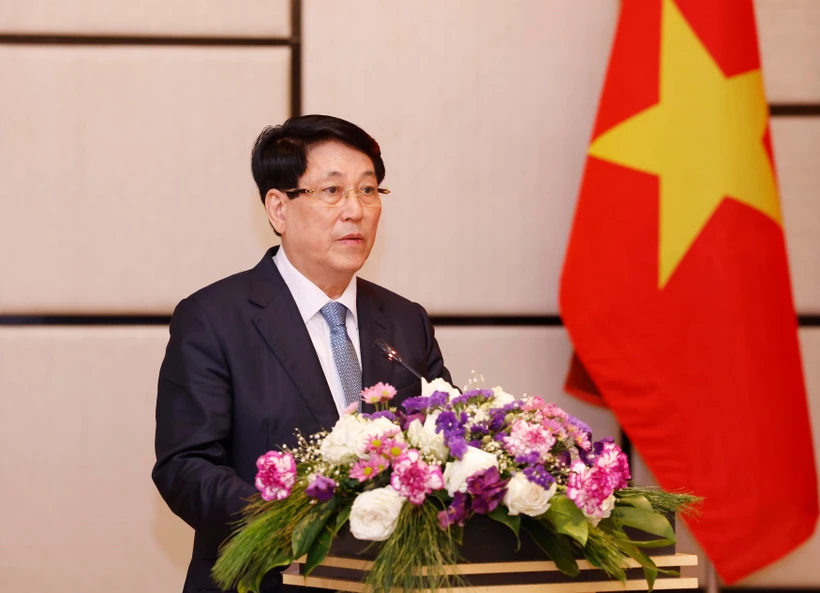State President meets with representatives of Vietnamese community, businesses in Laos