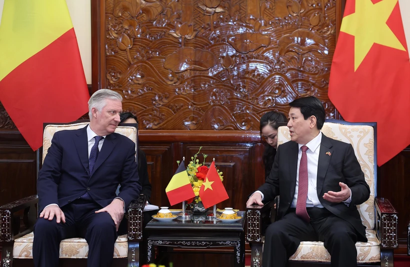 Vietnam wants to strengthen multi-faceted cooperation with Belgium: State President