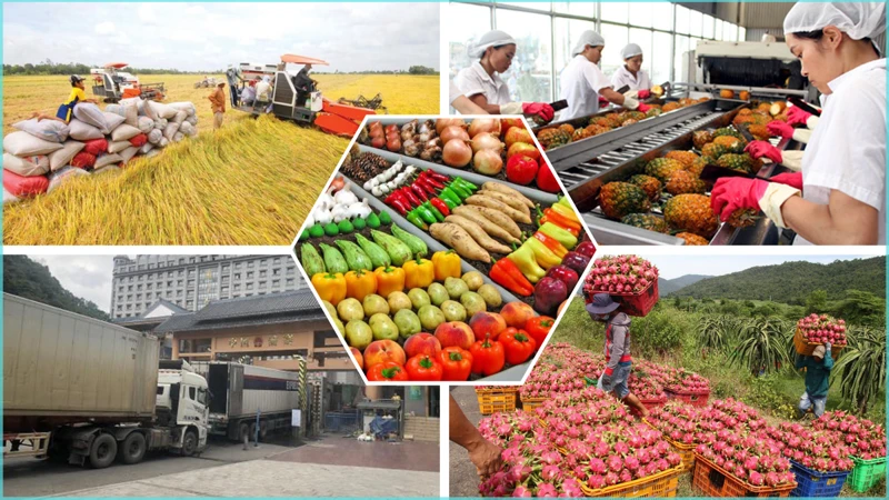 Vietnam to diversify markets for agricultural products amid global trade shifts