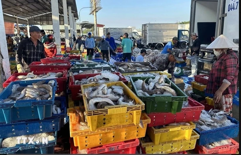 Vietnam's aquatic product exports maintain growth momentum despite impacts from US reciprocal tariffs