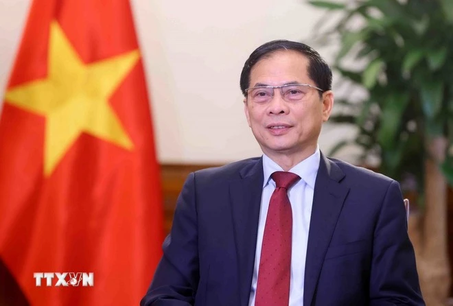 Energy cooperation - a pillar of Vietnam-Russia Comprehensive Strategic Partnership: official