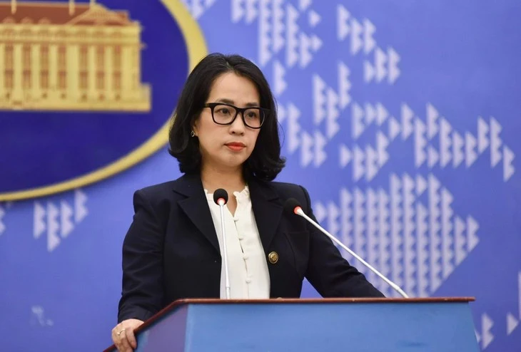 Vietnam lodges diplomatic notes protesting violations of its sovereignty in Truong Sa