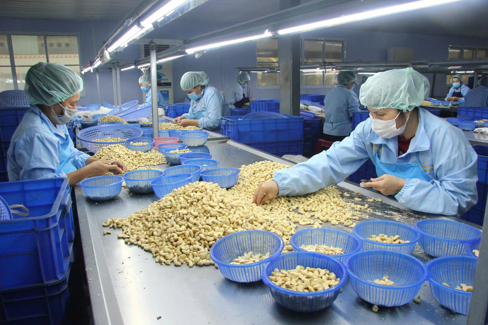 Reforming administrative procedure, creating a lever for economic growth