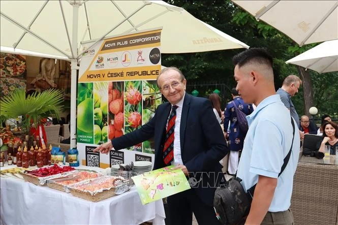 Vietnam promotes tourism in Czech Republic